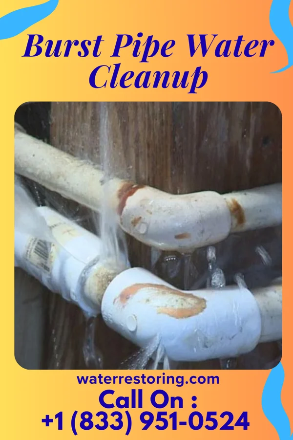 Burst Pipe Water Cleanup in Dyer, IN