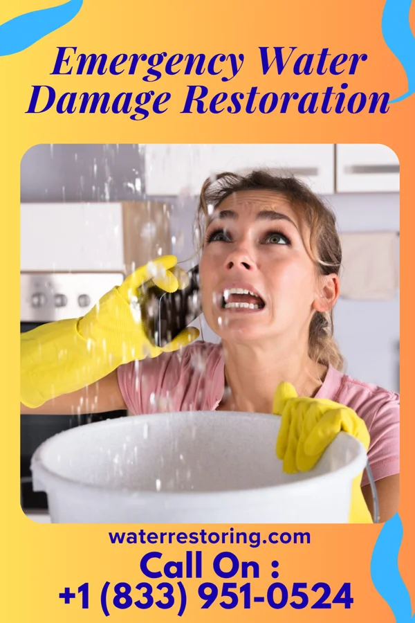 Emergency Water Damage Restoration in Dyer, IN