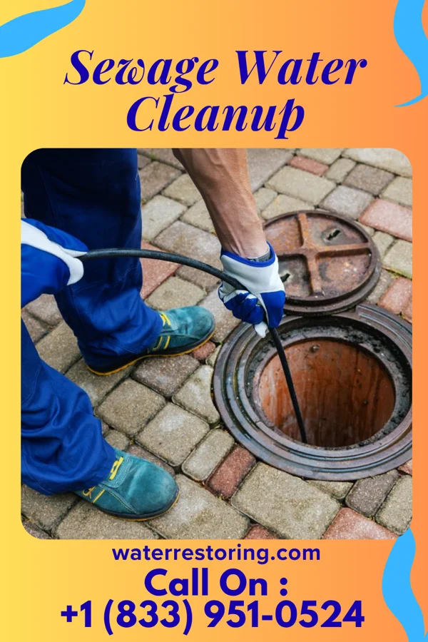 Sewage Water Cleanup in Dyer, IN